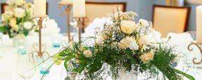 Hochzeiten & Feiern