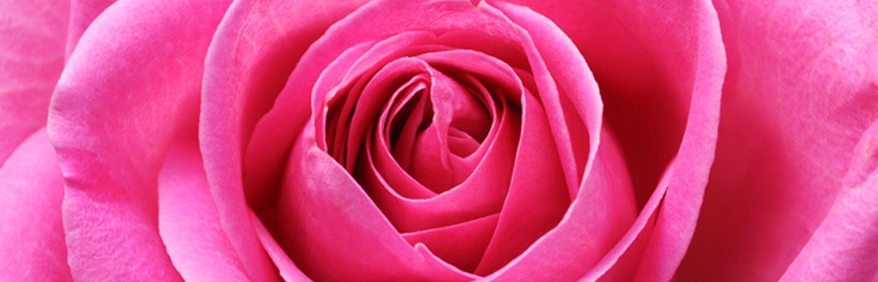 alles liebe