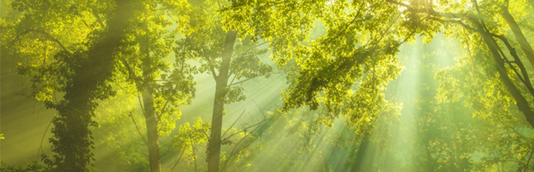 Seminar & Retreats